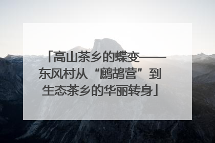 高山茶乡的蝶变——东风村从“鹧鸪营”到生态茶乡的华丽转身
