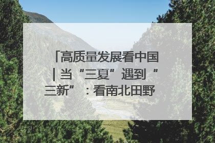 高质量发展看中国｜当“三夏”遇到“三新”：看南北田野里的科技共生记