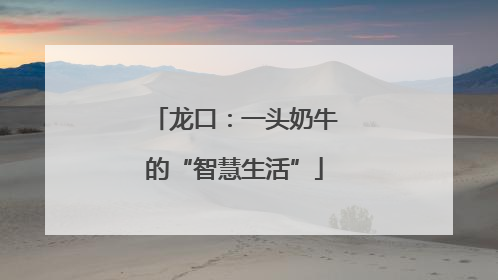 龙口：一头奶牛的“智慧生活”