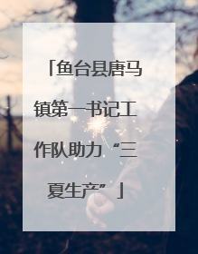 鱼台县唐马镇第一书记工作队助力“三夏生产”