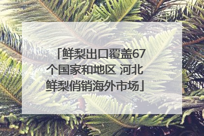 鲜梨出口覆盖67个国家和地区 河北鲜梨俏销海外市场