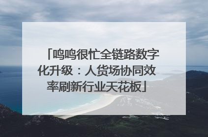 鸣鸣很忙全链路数字化升级：人货场协同效率刷新行业天花板