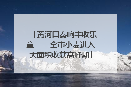 黄河口奏响丰收乐章——全市小麦进入大面积收获高峰期