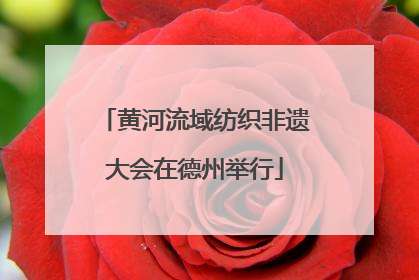 黄河流域纺织非遗大会在德州举行