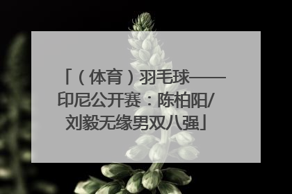 （体育）羽毛球——印尼公开赛：陈柏阳/刘毅无缘男双八强