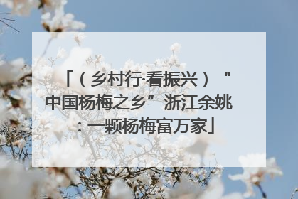 （乡村行·看振兴）“中国杨梅之乡”浙江余姚：一颗杨梅富万家