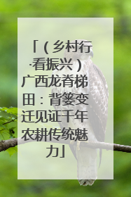 （乡村行·看振兴）广西龙脊梯田：背篓变迁见证千年农耕传统魅力
