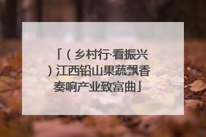 （乡村行·看振兴）江西铅山果蔬飘香 奏响产业致富曲