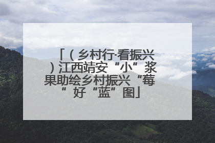（乡村行·看振兴）江西靖安“小”浆果助绘乡村振兴“莓”好“蓝”图