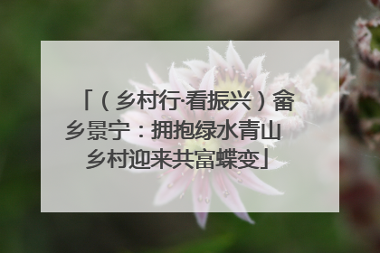 （乡村行·看振兴）畲乡景宁：拥抱绿水青山 乡村迎来共富蝶变