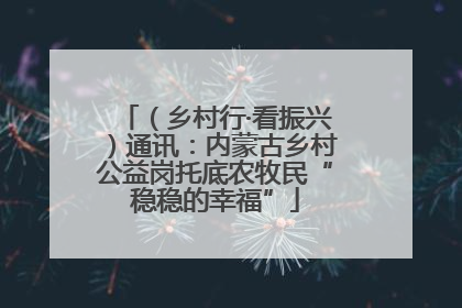 （乡村行·看振兴）通讯：内蒙古乡村公益岗托底农牧民“稳稳的幸福”