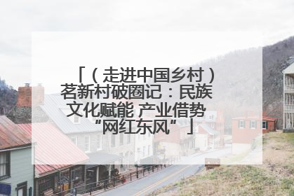 （走进中国乡村）茗新村破圈记：民族文化赋能 产业借势 “网红东风”