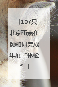 107只北京雨燕在颐和园完成年度“体检”