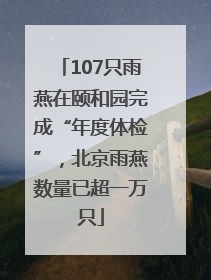 107只雨燕在颐和园完成“年度体检”，北京雨燕数量已超一万只