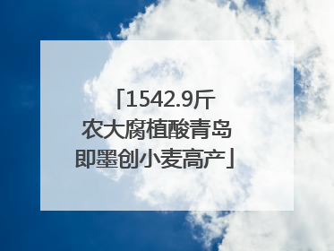 1542.9斤 农大腐植酸青岛即墨创小麦高产