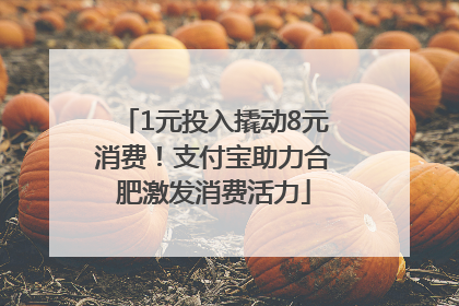 1元投入撬动8元消费！支付宝助力合肥激发消费活力
