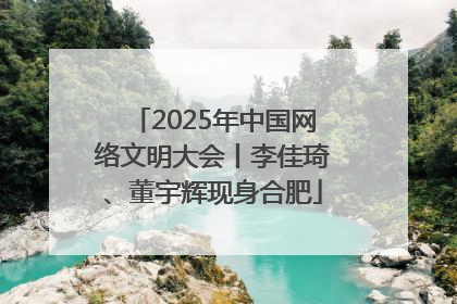 2025年中国网络文明大会丨李佳琦、董宇辉现身合肥