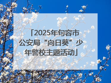 2025年句容市公安局“向日葵”少年警校主题活动