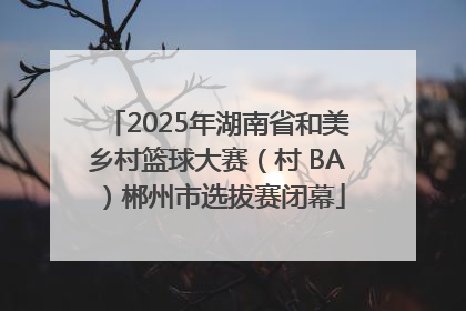 2025年湖南省和美乡村篮球大赛（村 BA）郴州市选拔赛闭幕