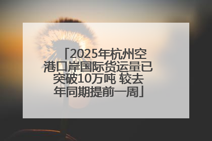 2025年杭州空港口岸国际货运量已突破10万吨 较去年同期提前一周