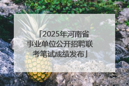 2025年河南省事业单位公开招聘联考笔试成绩发布