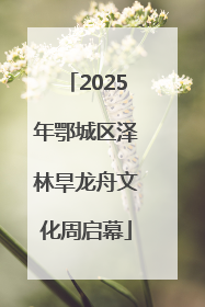 2025年鄂城区泽林旱龙舟文化周启幕