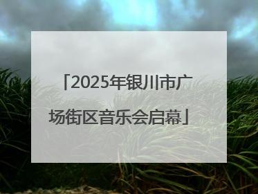 2025年银川市广场街区音乐会启幕