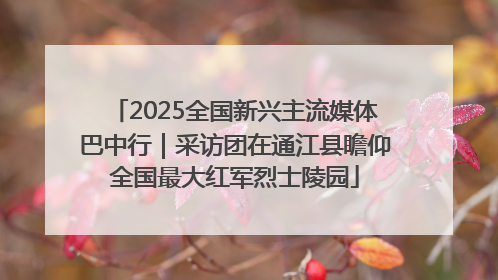2025全国新兴主流媒体巴中行｜采访团在通江县瞻仰全国最大红军烈士陵园