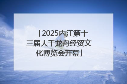 2025内江第十三届大千龙舟经贸文化博览会开幕