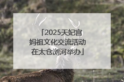 2025天妃宫妈祖文化交流活动在太仓浏河举办