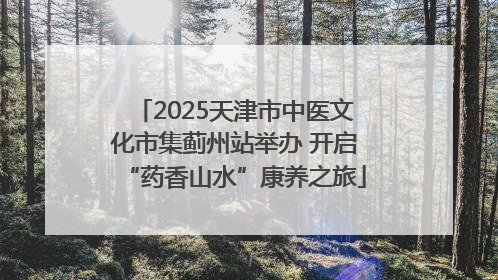 2025天津市中医文化市集蓟州站举办 开启“药香山水”康养之旅