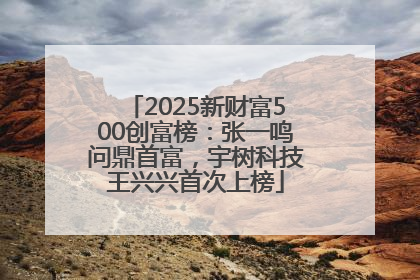 2025新财富500创富榜：张一鸣问鼎首富，宇树科技王兴兴首次上榜