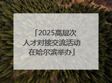 2025高层次人才对接交流活动在哈尔滨举办