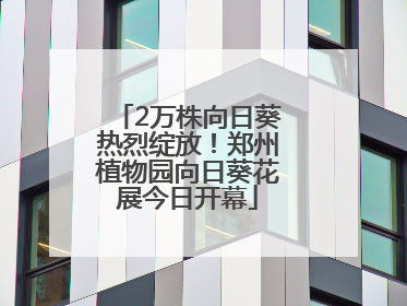 2万株向日葵热烈绽放！郑州植物园向日葵花展今日开幕