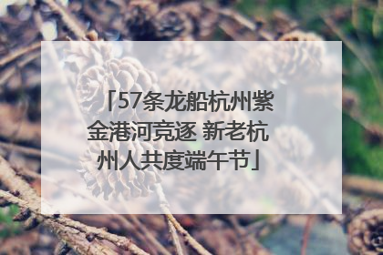 57条龙船杭州紫金港河竞逐 新老杭州人共度端午节