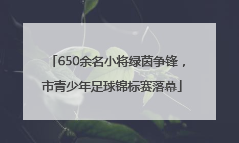 650余名小将绿茵争锋，市青少年足球锦标赛落幕