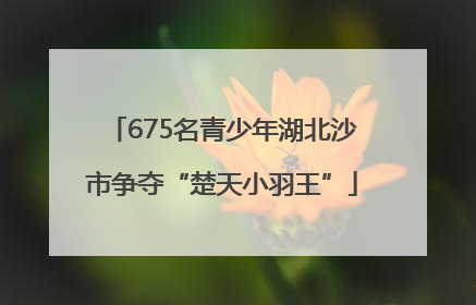 675名青少年湖北沙市争夺“楚天小羽王”