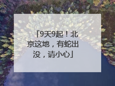 9天9起！北京这地，有蛇出没，请小心