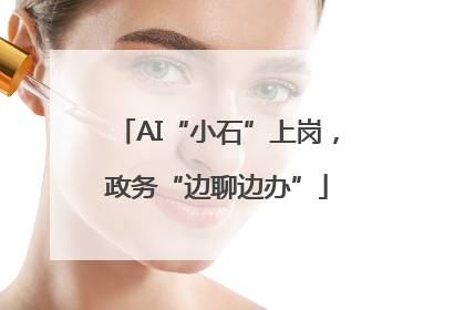 AI“小石”上岗，政务“边聊边办”