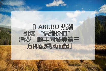 LABUBU 热潮引爆 “情绪价值” 消费，顺丰同城等第三方即配乘风而起